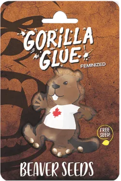 Gorilla Glue Strain Feminized Marijuana Seeds