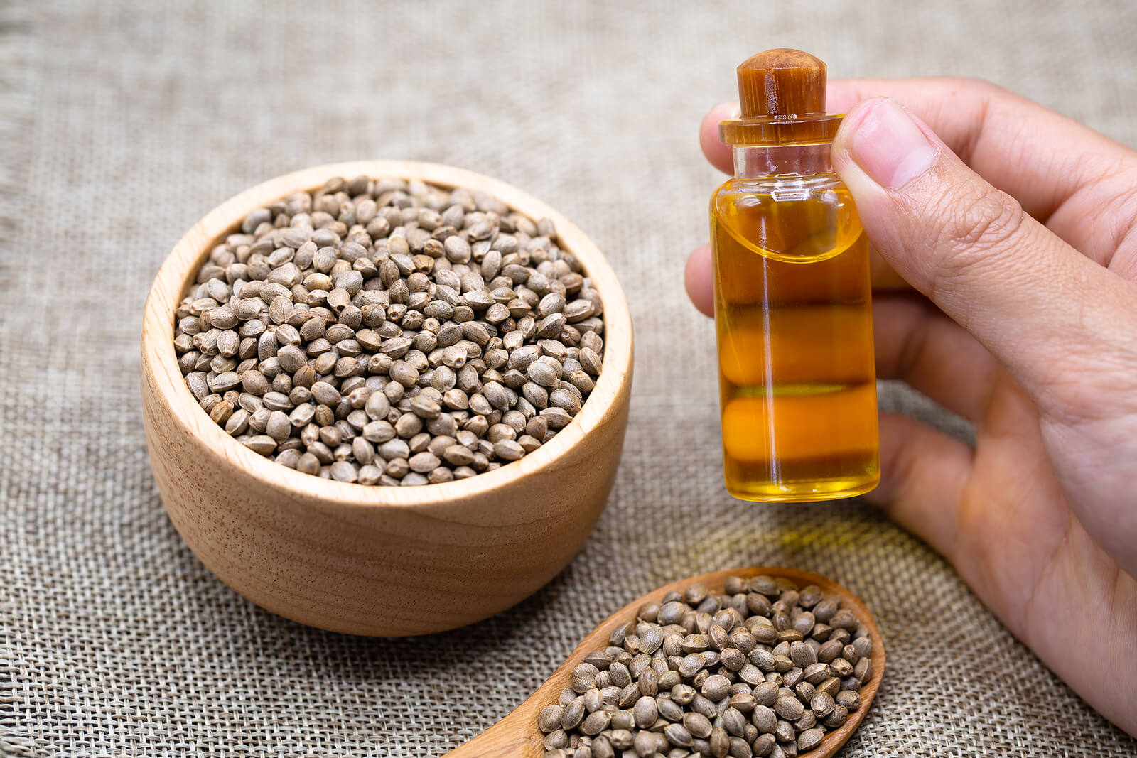 buy marijuana seeds in Charlotte