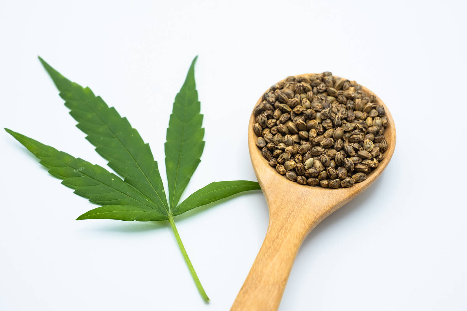 buy marijuana seeds in Fort Worth 1
