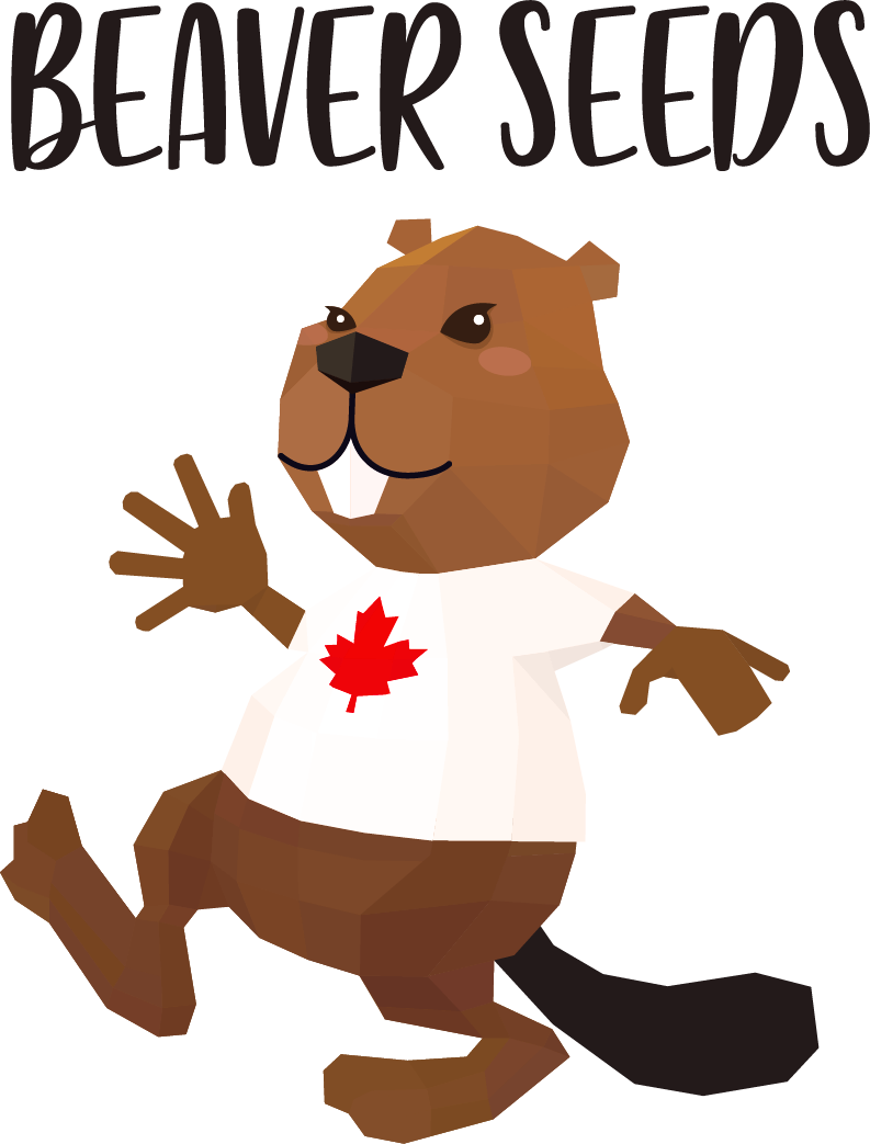 Beaver Seeds