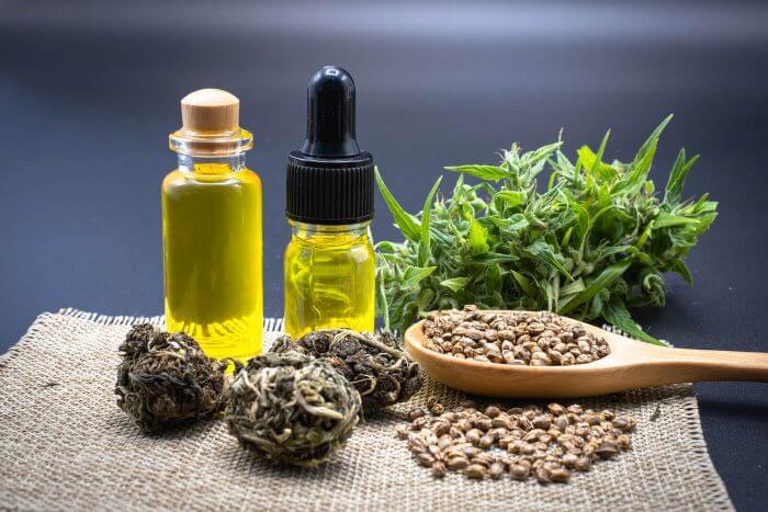 what are feminized seeds