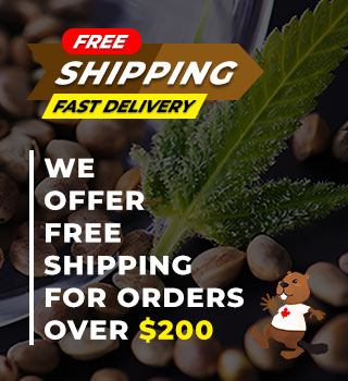320 X 350 free shipping