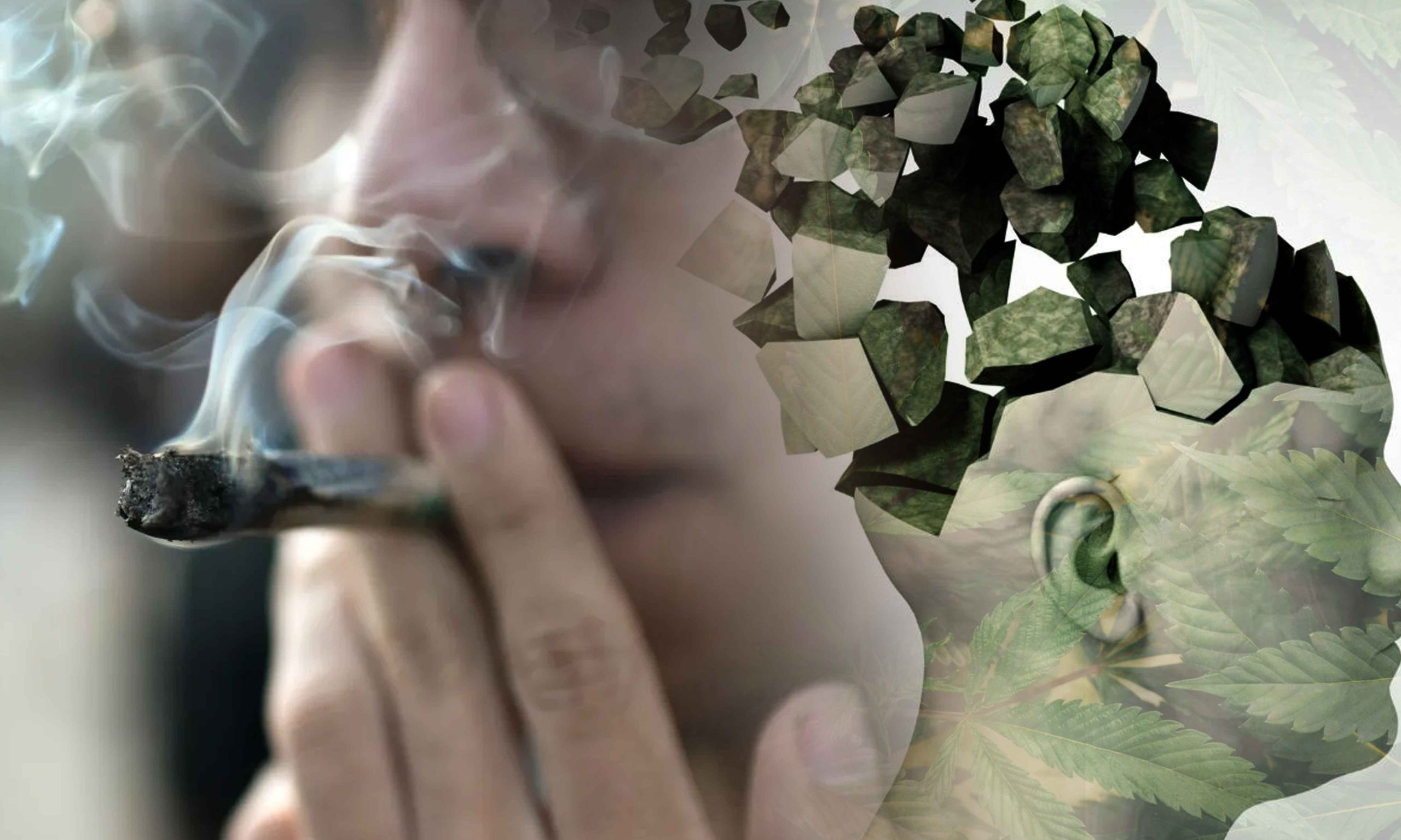 does marijuana cause memory loss