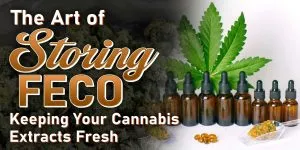 The Art of Storing FECO Keeping Your Cannabis Extracts Fresh scaled