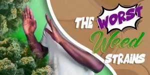 The Worst Weed Strains scaled
