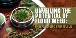 Unveiling the Potential of Flour Weed Understanding Cannaflour scaled