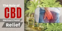 The Role of CBD in Hemorrhoid Relief 1 scaled