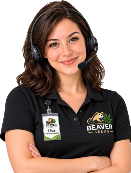 Beaver Seeds Customer Support